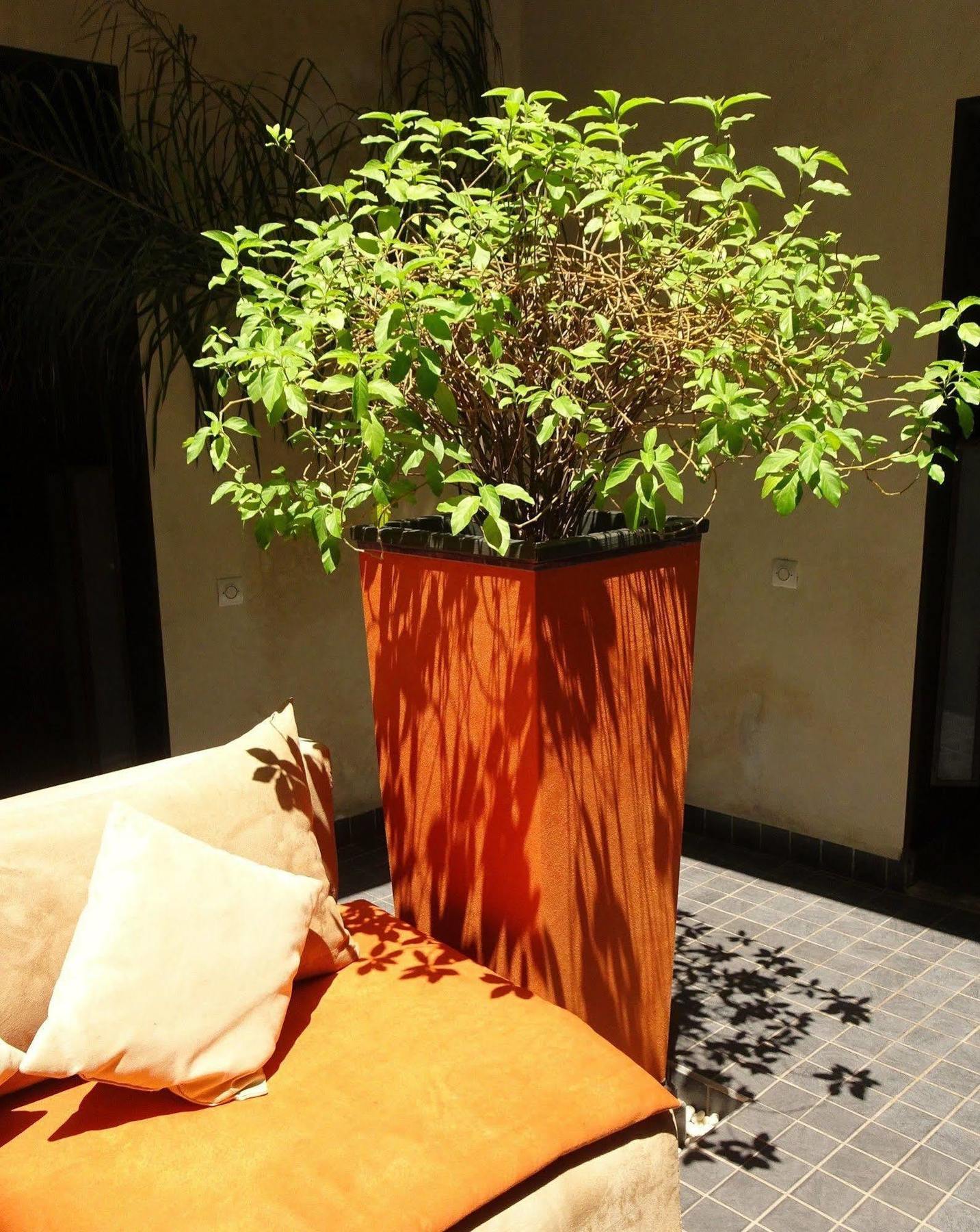 Riad Pierres Et Saveurs Soleil Marrakesh Luaran gambar