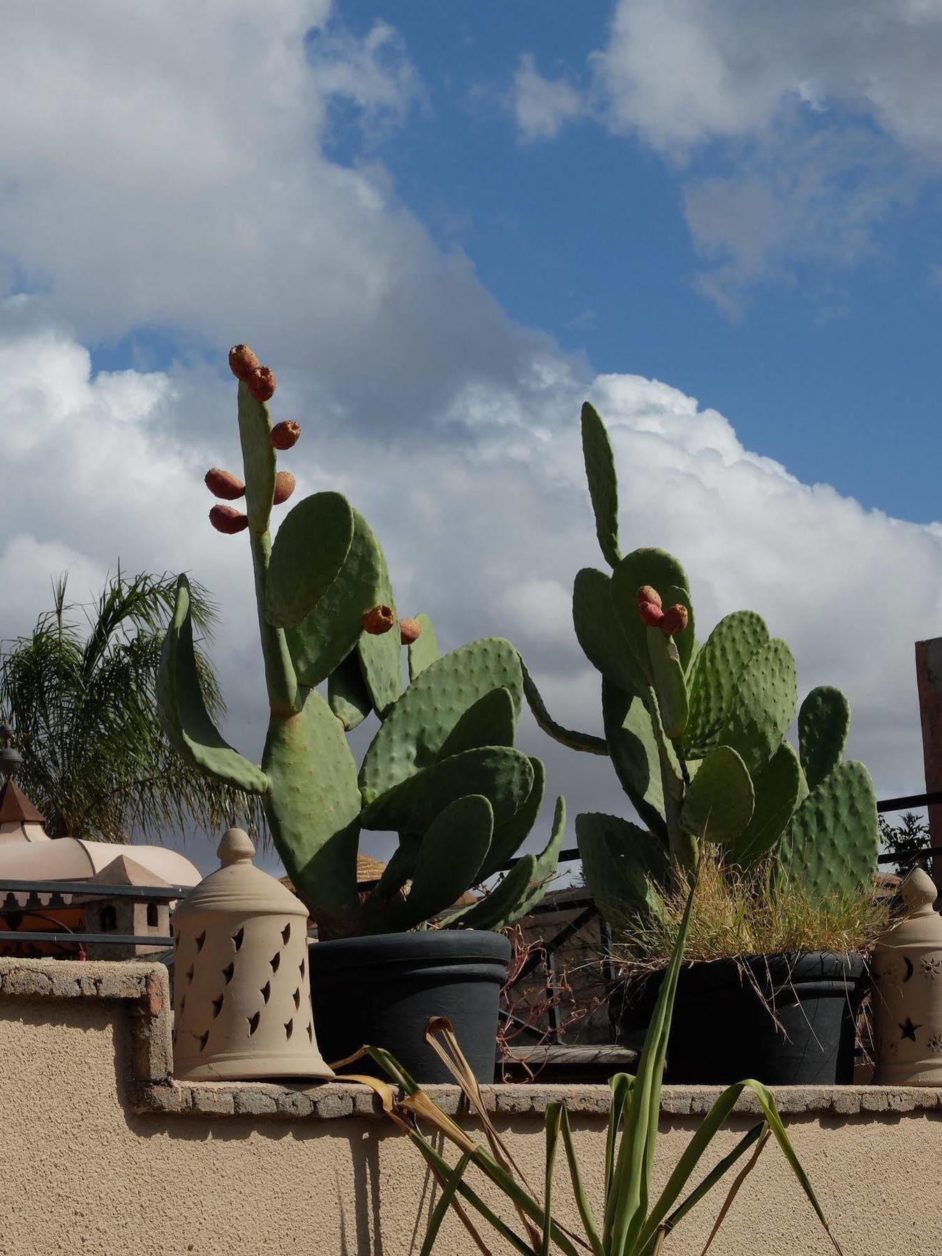 Riad Pierres Et Saveurs Soleil Marrakesh Luaran gambar